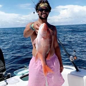 Meet your Posher, Nick